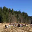 Acțiune de împădurire desfășurată sâmbătă la Ocolul Silvic Vama