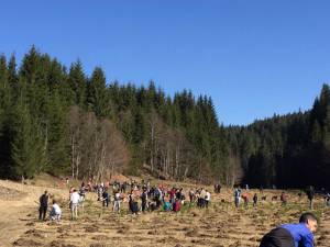 Acțiune de împădurire desfășurată sâmbătă la Ocolul Silvic Vama