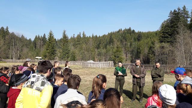 O viitoare pădure de molid, plantată de elevi, la Ocolul Silvic Falcău