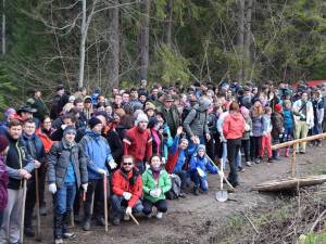 Sute de voluntari au participat la campania "Hai la înverzit!", la Câmpulung Moldovenesc