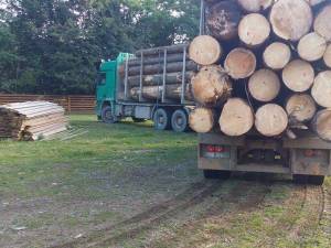 Transport de lemn