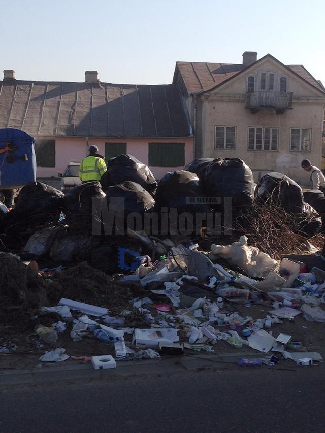 Mormane de gunoi aruncat sub pasarela Ițcani la finele săptămânii