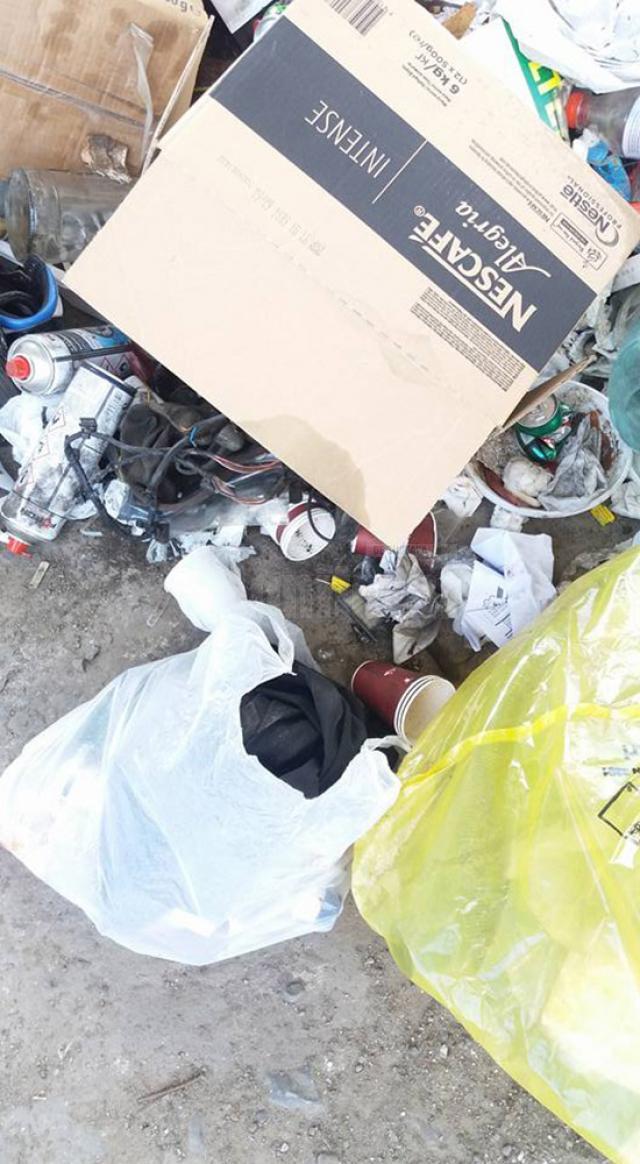 Mormane de gunoi aruncate sub pasarela Iţcani, chiar şi după ce punctul de colectare a fost desfiinţat