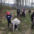 Mai mulţi elevi de la Colegiul „Petru Rareș” au plantat puieţi de fag, la Pătrăuţi