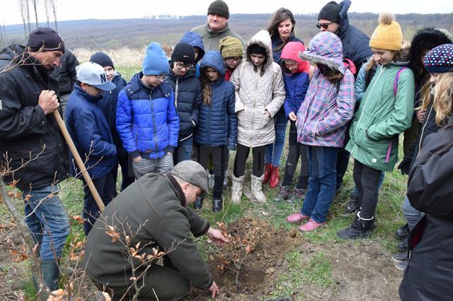 Mai mulţi elevi de la Colegiul „Petru Rareș” au plantat puieţi de fag, la Pătrăuţi