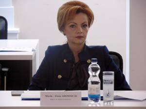 Prefectul de Suceava a participat la ședința comisiei pentru sprijinul minorității germane din România