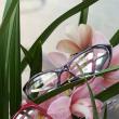 Noutăţi şi reduceri de primăvară la Eye`s Optic Suceava