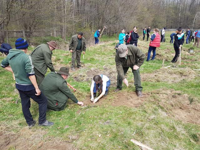 Plantare de arbori la OS Râșca, cu voluntari din Poliție, Jandarmerie, școli și administrație