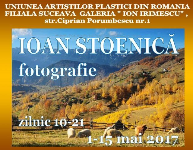 Pasteluri şi fotografii la Galeria de Artă „Ion Irimescu” Suceava