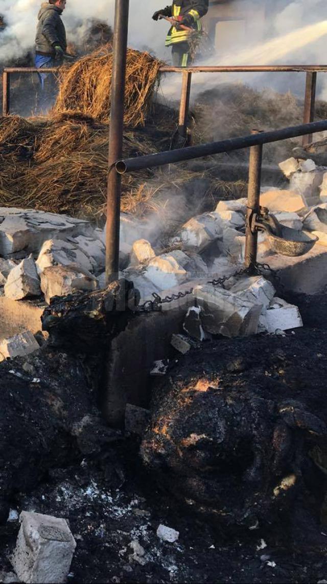 Focul a făcut pagube importante proprietarului fermei de animale, care a suferit un prejudiciu de circa 500.000 de lei