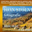 Adrian & Ioan Stoenică - Expoziţie de artă plastică şi fotografie