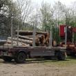 Transportul de lemn