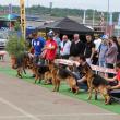 Bucovina Dog Show la Shopping City Suceava