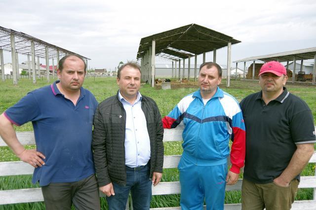 Trei dintre frații Costan și primarul comunei Liteni, Tomiţă Onisii, la ferma de unde provine "Iaurtul de altădată"