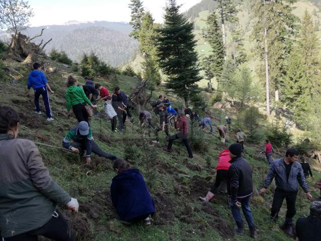 Elevii Școlii Gimnaziale Stulpicani au participat sâmbătă la o acţiune de împădurire