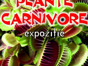Expoziţia „Plante carnivore”