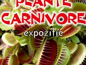Expoziţia „Plante carnivore”, la Muzeul de Ştiințele Naturii Suceava