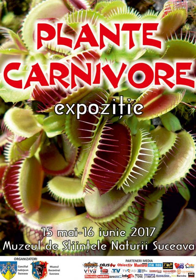 Expoziţia „Plante carnivore”, la Muzeul de Ştiințele Naturii Suceava