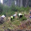 Educarea adulţilor prin copii şi continuitatea pădurilor – principii puse în practică prin dialogul şi cooperarea iniţiate de Parcul Naţional Călimani şi Holzindustrie Schweighofer