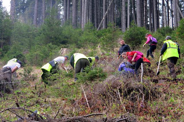 Educarea adulţilor prin copii şi continuitatea pădurilor – principii puse în practică prin dialogul şi cooperarea iniţiate de Parcul Naţional Călimani şi Holzindustrie Schweighofer