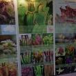 La Muzeul de Ştiinţele Naturii din Suceava s-a deschis ieri prima expoziţie de plante carnivore