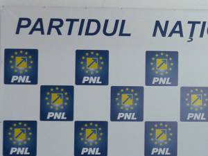 PNL Suceava va avea cea mai numeroasă delegaţie la Conferinţa naţională de alegeri