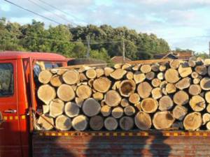 O autoutilitară şi lemnul transportat ilegal, confiscate de poliţişti