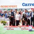 Peste 600 de câini vor participa la Bucovina Dog Show 2017