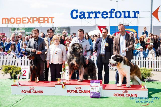 Peste 600 de câini vor participa la Bucovina Dog Show 2017