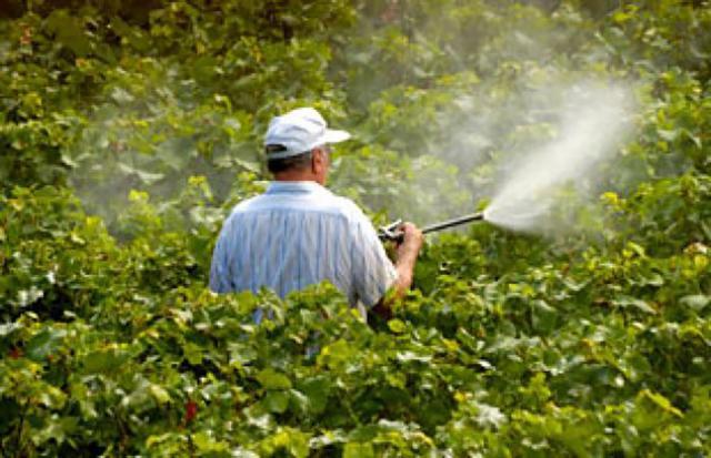 Comerţul cu pesticide, interzis fără documente legale Sursa www.adevărul.ro