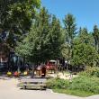 Dezinsectie pe spatiile verzi din Suceava
