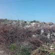 Groapa de gunoi de la marginea Sucevei, desființată de municipalitate
