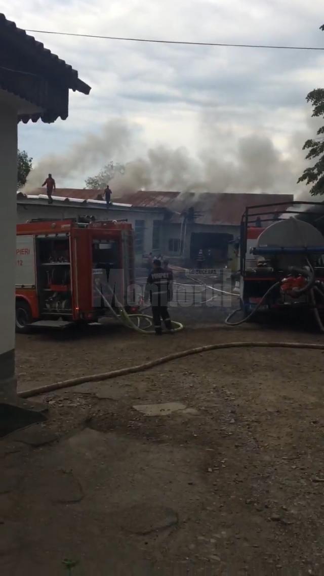 Un puternic incendiu a distrus o hală a unei societăţi comerciale din Fălticeni