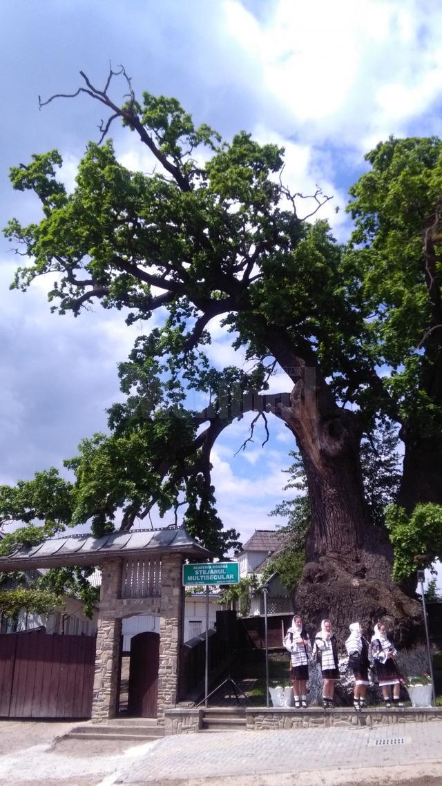 Simpozionul Internaţional „Arborii Ocrotiţi – simbol al vitalităţii, diversităţii şi frumuseţii”, la Cajvana