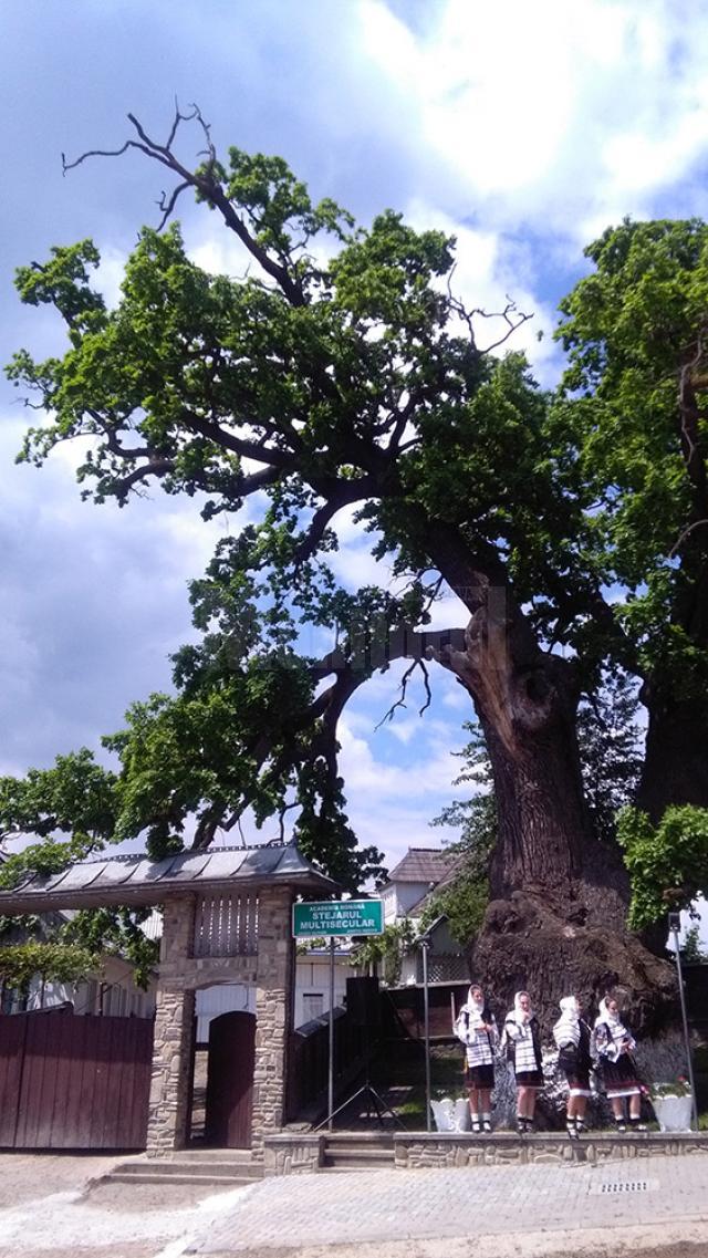 Simpozionul Internaţional „Arborii Ocrotiţi – simbol al vitalităţii, diversităţii şi frumuseţii”