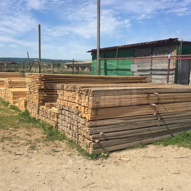 Comertul cu material lemnos, interzis in Piata Veresti