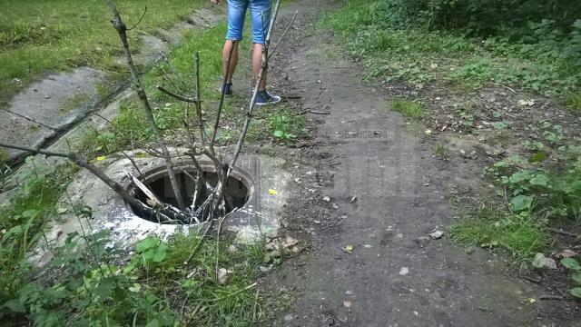 Canale capcană, fără capac, pe o potecă intens circulată din parcul Șipote