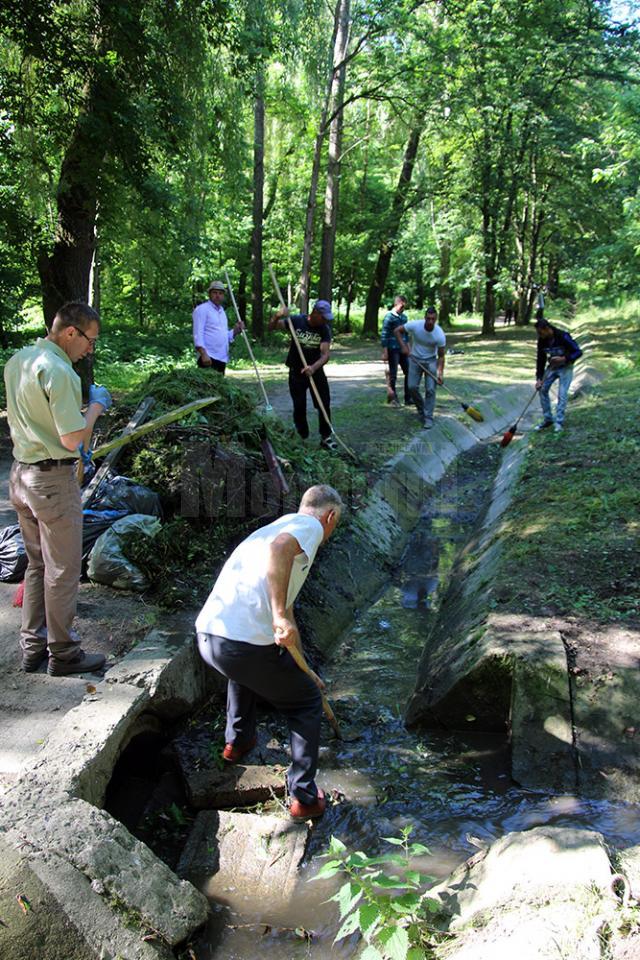 Parcul Șipote a fost din nou toaletat și igienizat cu voluntari ai Direcţiei Silvice, Primăriei Suceava dar și elevi