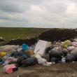 Aşa arată groapa ilegală de gunoi de la Bosanci