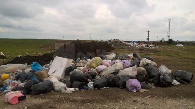 Așa arată groapa ilegală de gunoi de la Bosanci