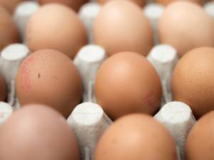 Toxinfecție alimentară de la ouă cu Salmonella