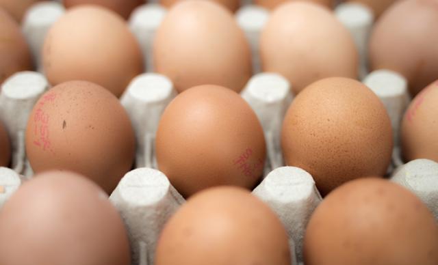 Toxinfecție alimentară de la ouă cu Salmonella