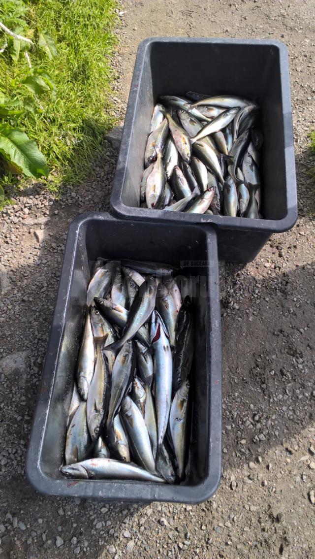 Pescari suceveni în Norvegia, în Marea Nordului