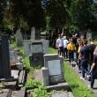 22 de elevi din Rădăuţi şi Rostock au reabilitat mii de pietre de mormânt ale victimelor din cele două războaie mondiale