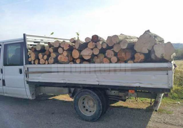 Un bărbat a fost amendat cu 5.000 de lei pentru un transport ilegal de lemn