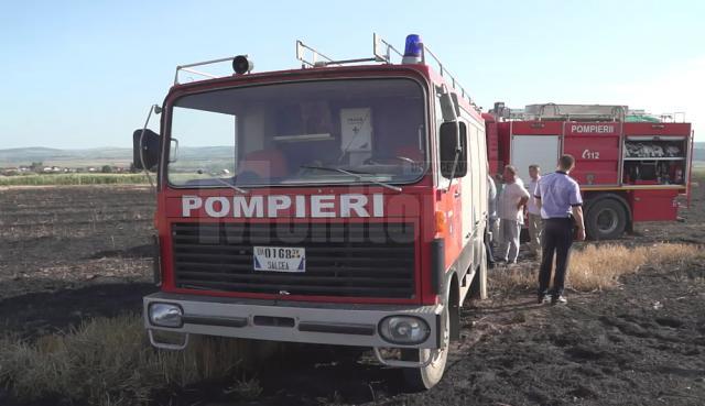 Un tânăr de 16 ani, principalul suspect în incendierea a 12 hectare de mirişte la Mereni
