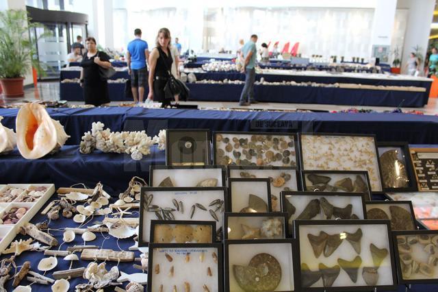 Fosile de dinozauri, pietre preţioase şi bijuterii, la târgul de la Iulius Mall Suceava
