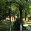 Parcul Şcolii „Ion Creangă”Suceava