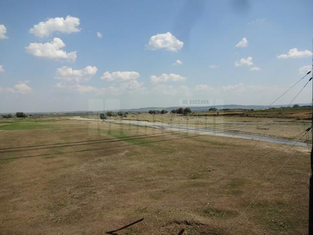 Albia râului Suceviţa, din Rădăuţi, ecologizată de aproape 80 de voluntari