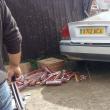 Maşina implicată în accident și țigările găsite lângă aceasta